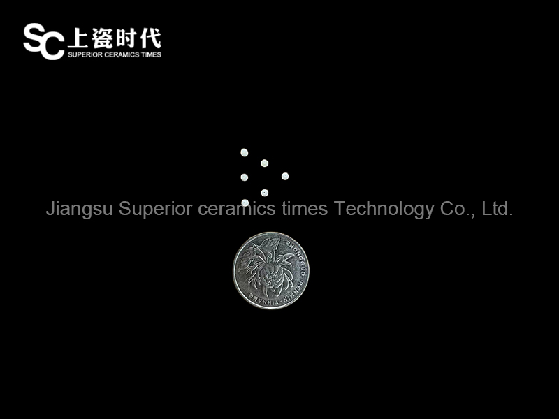 血管閉環器的陶瓷銷釘